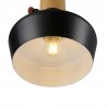 Lámpara colgante TROI, negro, E27