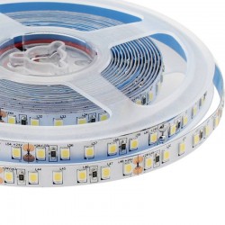 Tira LED Monocolor SMD2835, ChipLed Samsung, DC24V, 5m (120Led/m), 100W, IP65