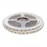 Tira LED Monocolor SMD2835, ChipLed Samsung, DC24V, 5m (168Led/m), 100W, CRI 90 - IP65