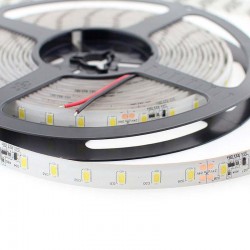 Tira LED Monocolor SMD5630, DC24V CC, 5m (70 Led/m) - Sensor Temperatura, 75W, IP65