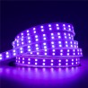 Tira LED UV Ultravioleta SMD5050, DC24V, 5m (120 Led/m) - IP67
