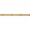 Tira LED Monocolor COB, DC24V, 5m (350Led/m), 60W, CRI92, IP20