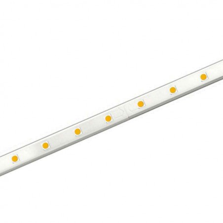 Tira LED TPU SMD5050, DC24V, 1m (60Led/m) - IP67