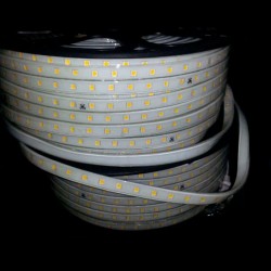 Tira LED TPU SMD5050, DC24V, 1m (60Led/m) - IP67