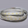 Tira LED TPU SMD5050, DC24V, 1m (60Led/m) - IP67