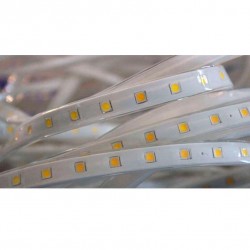 Tira LED TPU SMD5050, DC24V, 1m (60Led/m) - IP67