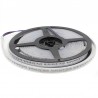 Tira LED SMD3535, ChipLed Samsung, RGB, DC24V, 5m (120Led/m) - IP67