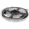 Tira LED SMD3528, DC12V, 5m (60 Led/m), ROSA - IP20