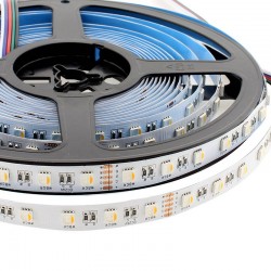 Tira LED EPISTAR SMD5050, RGB+W, DC24V, 5m (60Led/m 4 en 1) - IP20
