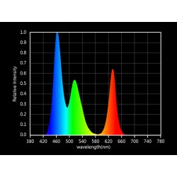 Tira LED SMD2835, ChipLed Samsung, RGB, DC24V, 5m (120Led/m) - IP20