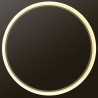 Lámpara colgante RING 73W, negro, Triac regulable, Ø100cm