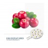 Bombilla LED G4 bi-pin circular plana 12V AC/DC - 2,2W