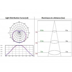 Bombilla LED Bulb E14 frost 6W