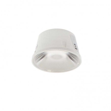 Lente 15° Ø40mm PROLUX