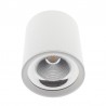 Aplique de techo LED FADO chipled CREE 20W