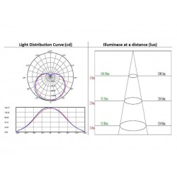Bombilla LED E27, 12W