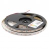 Tira LED SMD5050, DC12V, 5m (60 Led/m), ROSA - IP20
