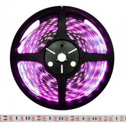 Tira LED SMD5050, DC12V, 5m (60 Led/m), ROSA - IP20