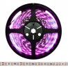 Tira LED SMD5050, DC12V, 5m (60 Led/m), ROSA - IP20