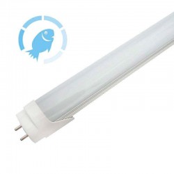 Tubo LED T8, 9W, 60cm, Pescadería