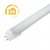 Tubo LED T8, 9W, 60cm, Quesos y fiambres