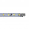VITRALUX Conector PCB