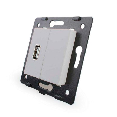 Mecanismo de empotrar enchufe USB, gris LIVOLO