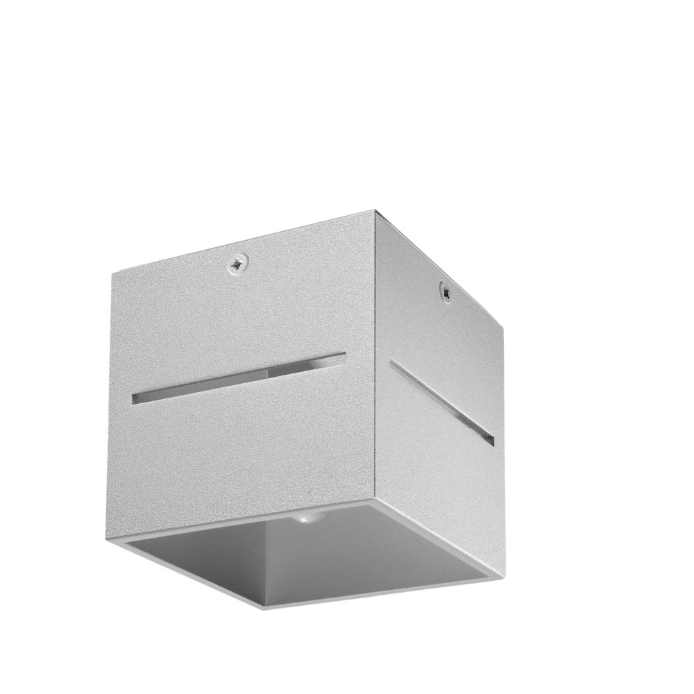 Aplique de techo LOBO gris, G9